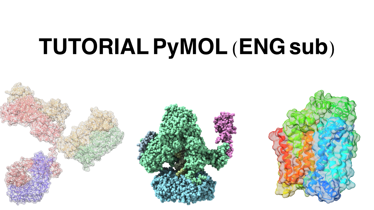 PyMOL tutorials cover image